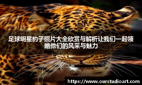 足球明星豹子照片大全欣赏与解析让我们一起领略他们的风采与魅力
